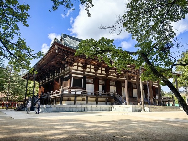 高野山 壇上伽藍 金堂